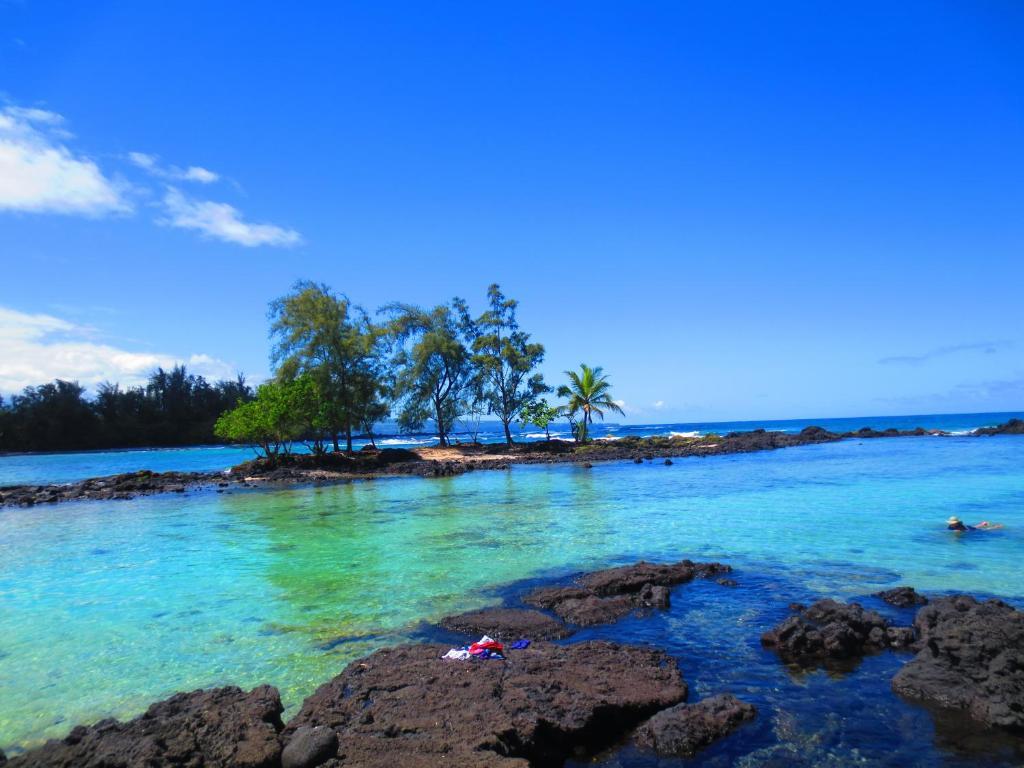 Maureen'S Bed And Breakfast Hilo Bagian luar foto