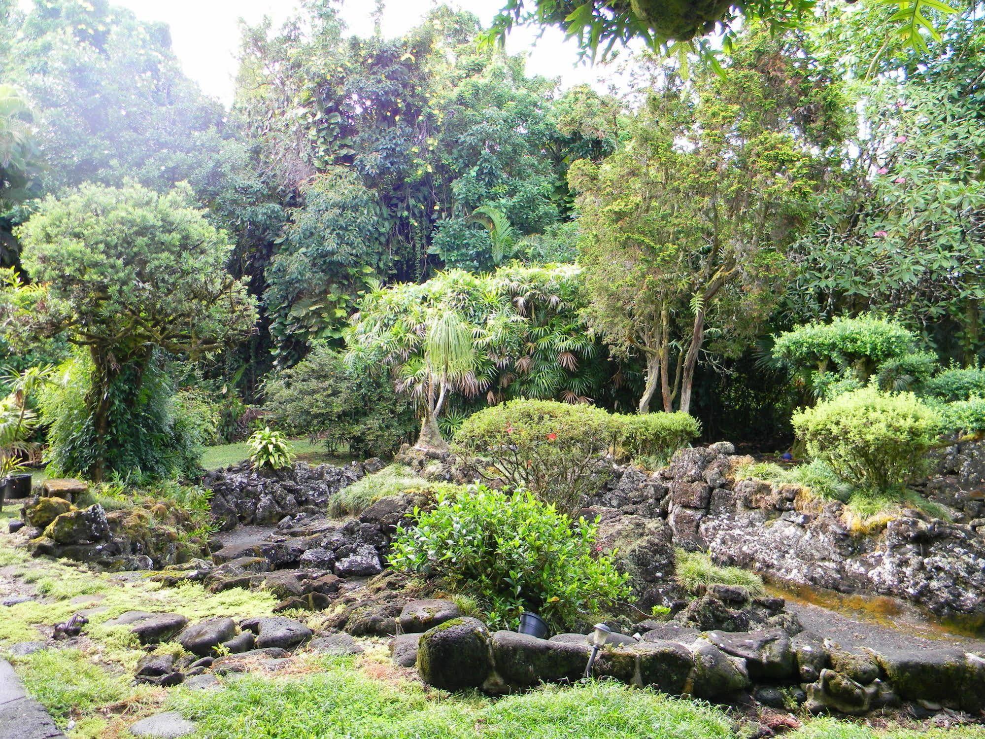 Maureen'S Bed And Breakfast Hilo Bagian luar foto